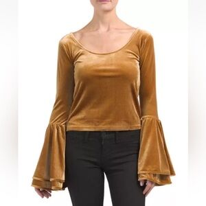 NEW Torn Ronny Kobo Mimi Sabrina VELVET BELL SLEEVED CROP Top Blouse Bell Sleeve